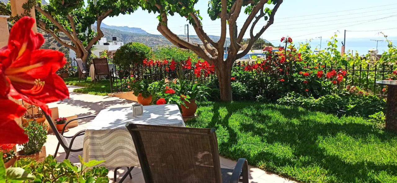 Despoina Apartments Keratókambos Dış mekan fotoğraf