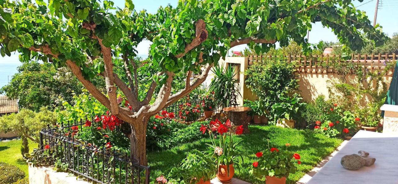 Despoina Apartments Keratókambos Dış mekan fotoğraf