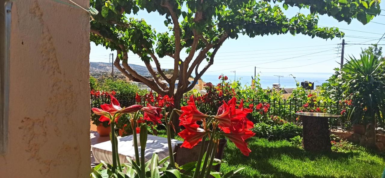 Despoina Apartments Keratókambos Dış mekan fotoğraf